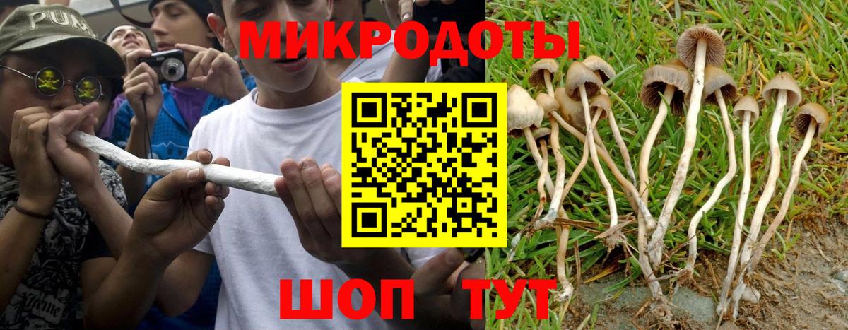 Курск  Галлюциногенные грибы мицелий  где купить наркотик  Вход с VPN 